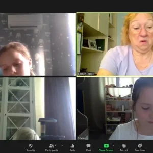 18-individualized tutoring sessions plus software